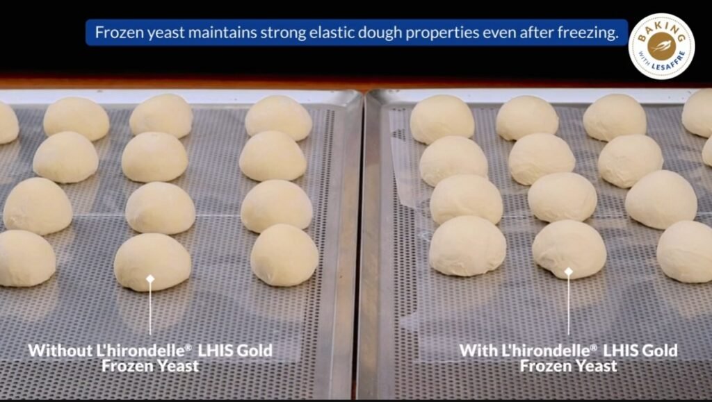Trays of dough balls comparing results without and with L'hirondelle frozen yeast