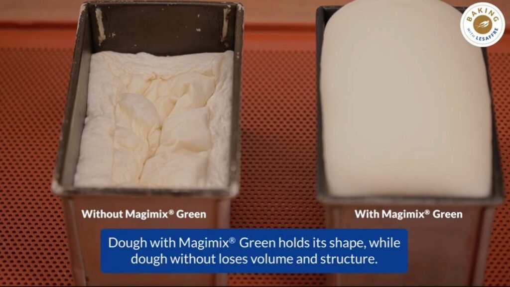 Two loaf tins comparing dough without and with Magimix Green